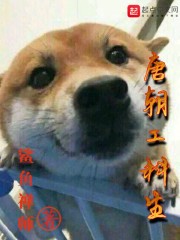 �Ƴ�������