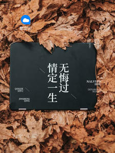 沈蔓歌叶南弦全文免费阅读 最新更新