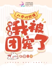 八零对照组:换亲后,我被团宠了