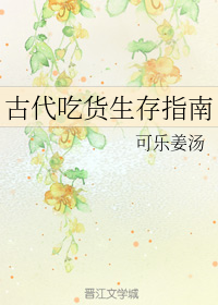 �Ŵ��Ի�����ָ��
